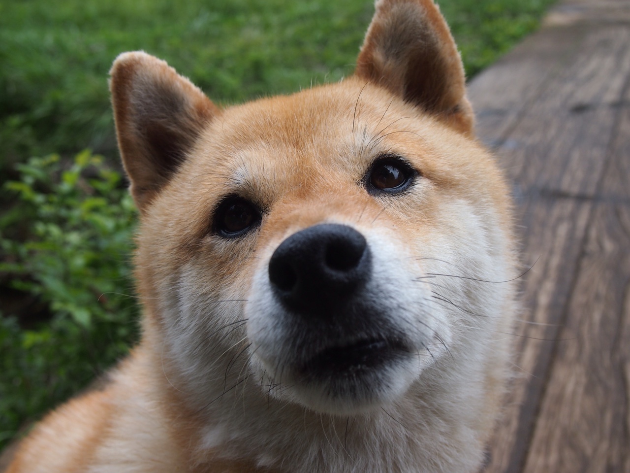 拉什福德将名字刻进历史!雨夜最后十分钟,他定义了何为巨星