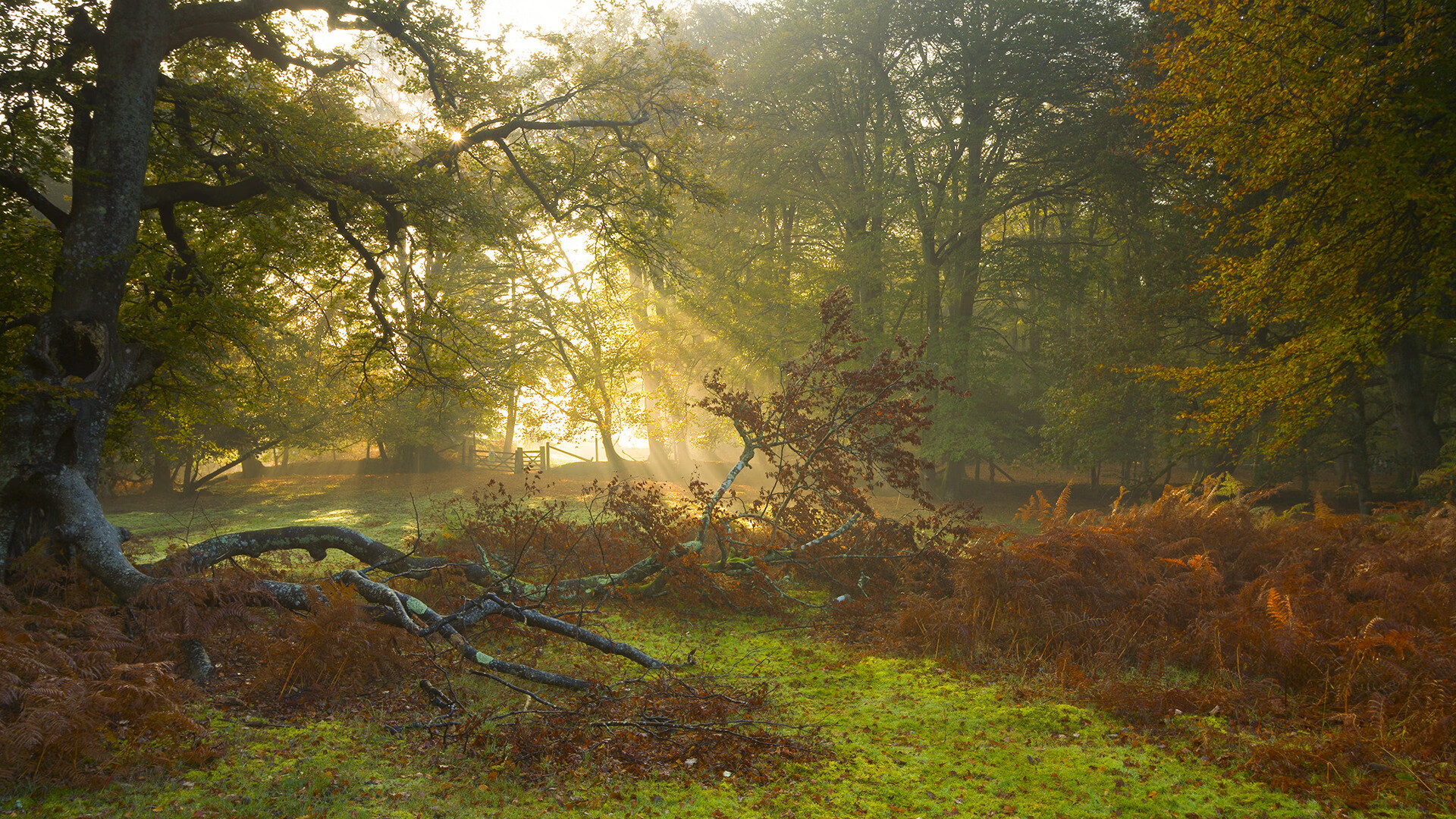 生死战的双面镜，当宿命的枪声同时响起