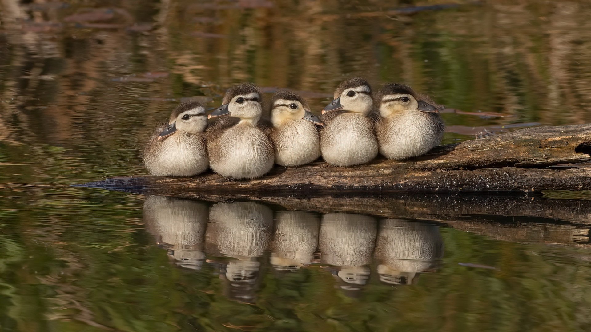 星辰凝视,当新疆封王夜遇上英超终局点