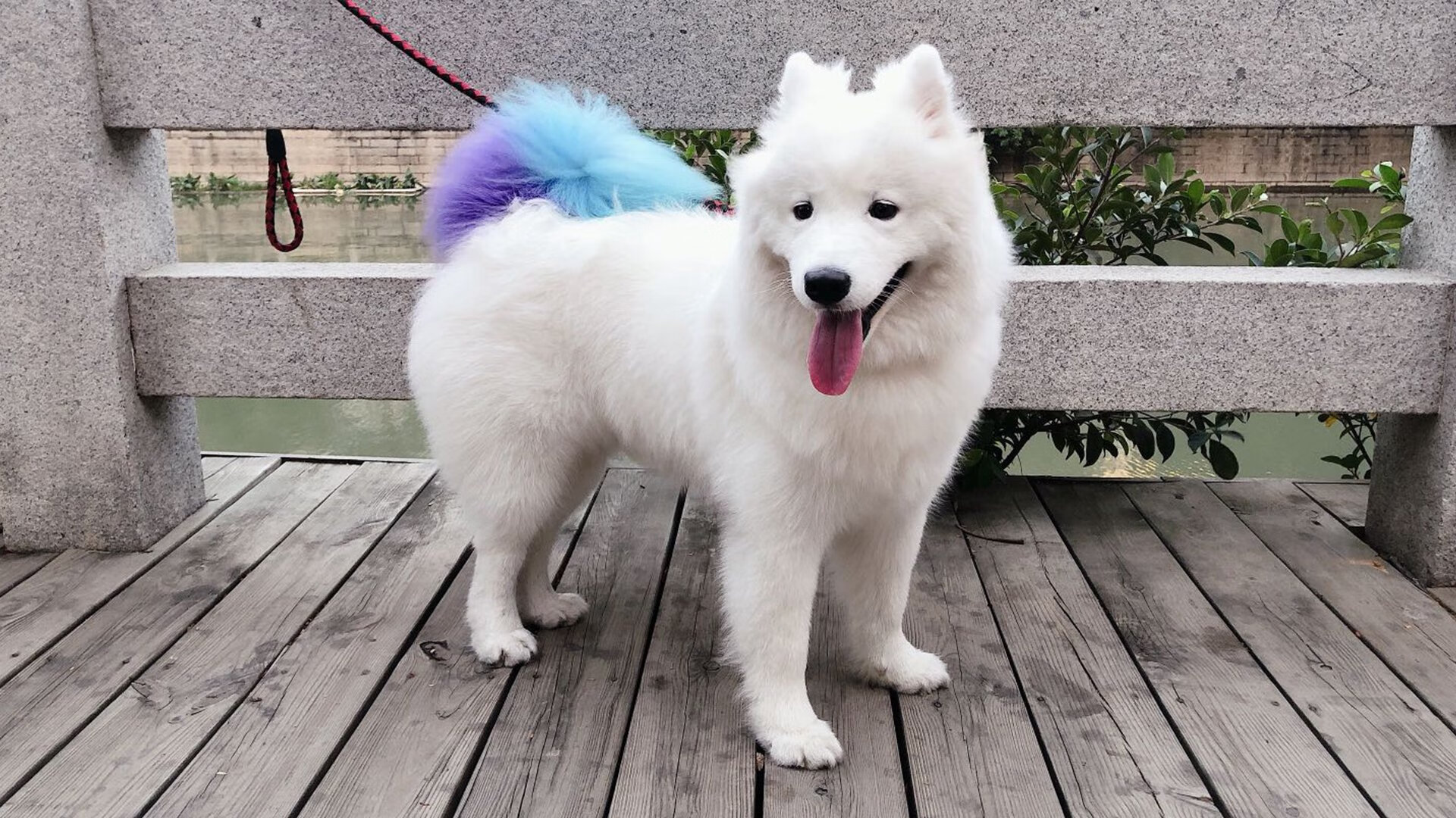 唯一，那个美加墨交融的足球之夜，哈弗茨书写了现代中锋的终极教科书