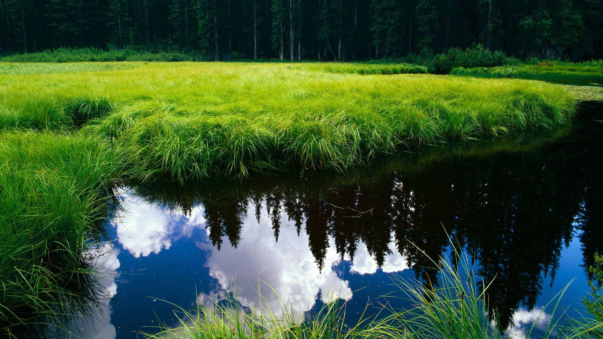 东亚铁壁与东欧铁骑,世界杯赛场上两种铁血的胜利法则