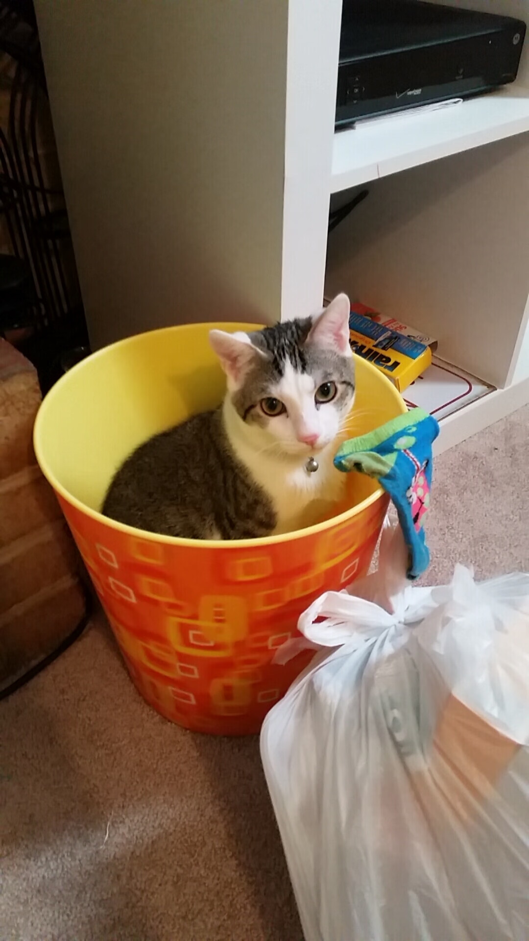 当巴黎圣日耳曼在巴西高原掀起战术革命，莱万用最后的利齿撕碎桑巴骄傲