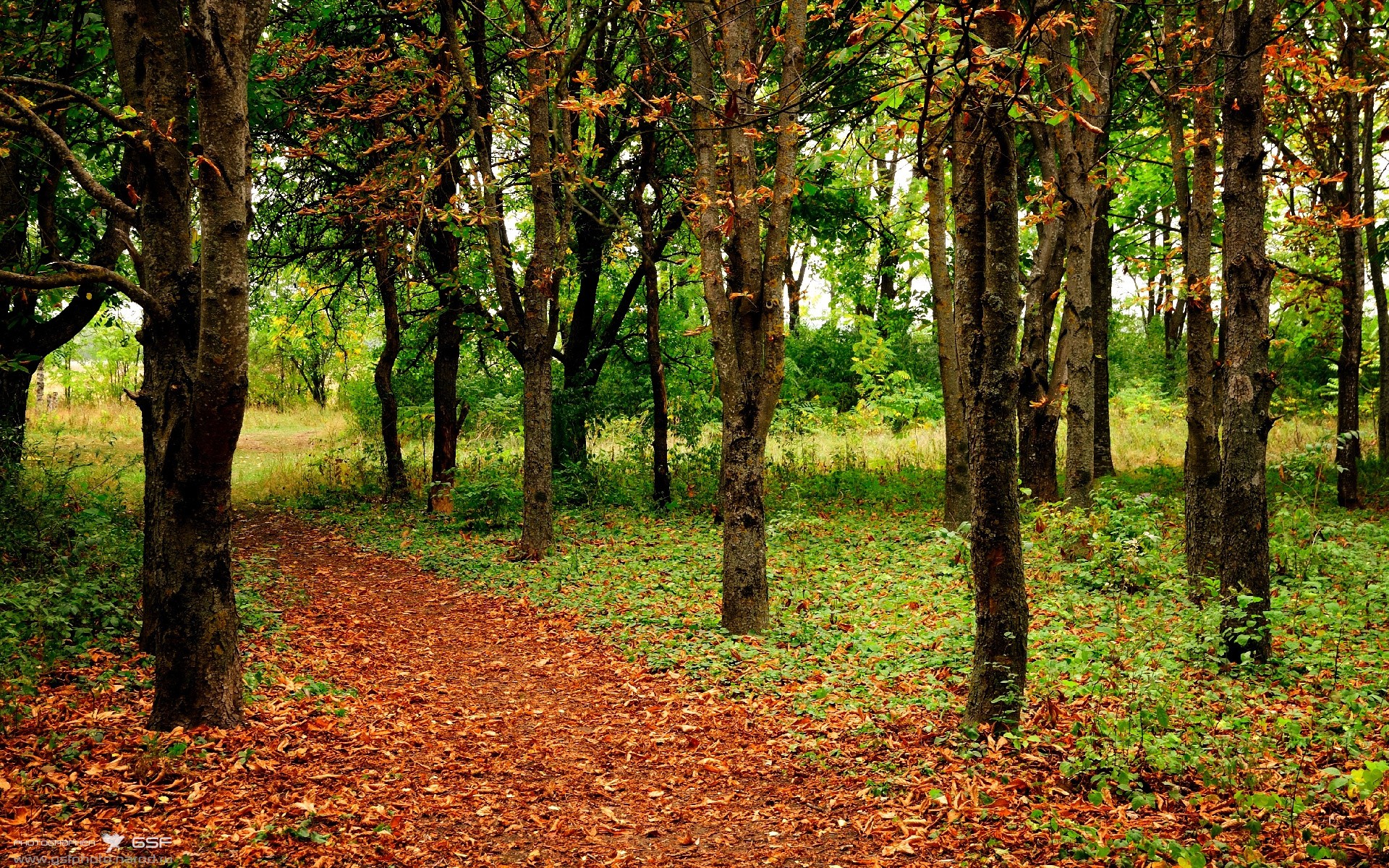 天火降人间，阿圭罗数据爆炸助曼城以希腊神话方式加冕