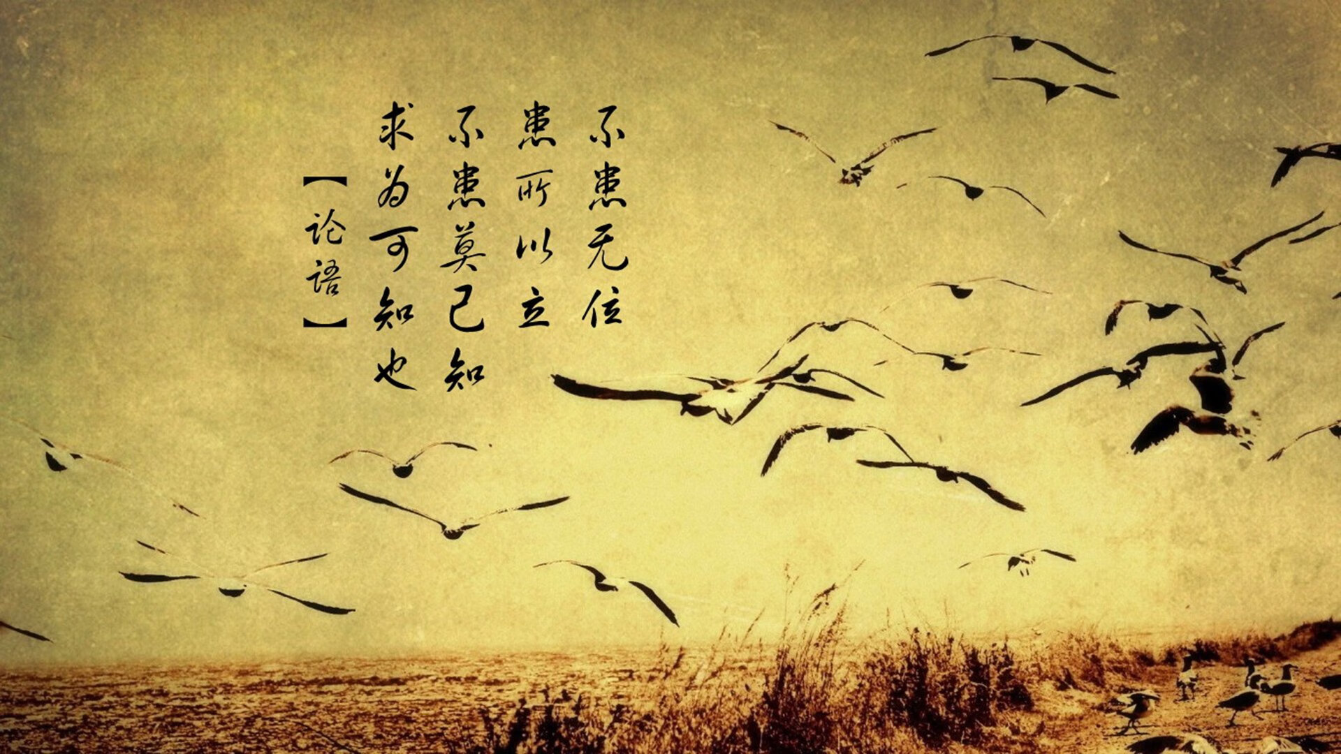 王者的翻盘艺术，上海团队风暴与浓眉的个人舞台