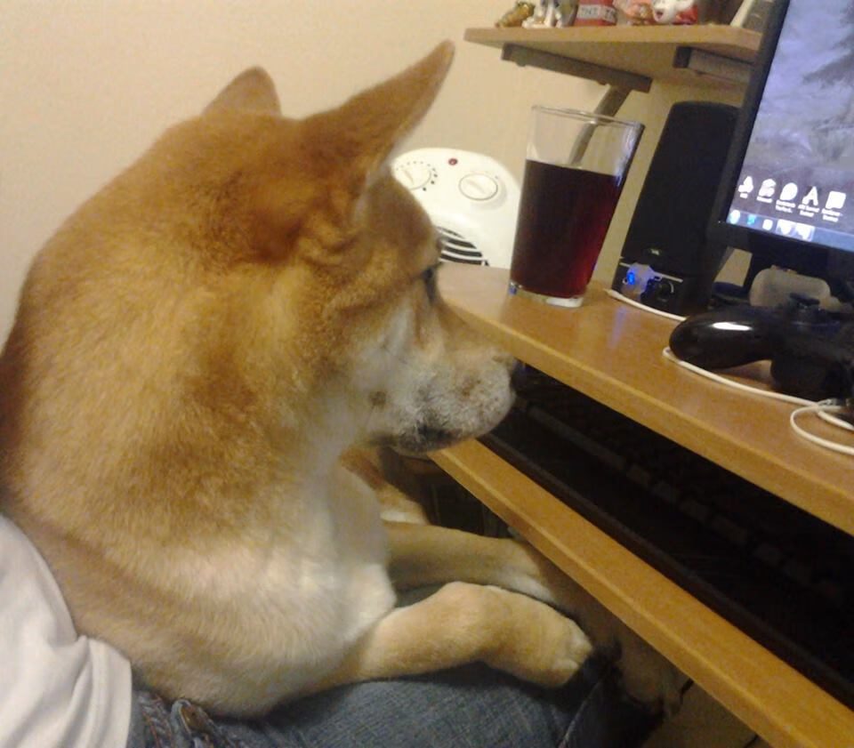 坚如磐石，赖斯在曼城鏖战皇马一役中化身城防核心