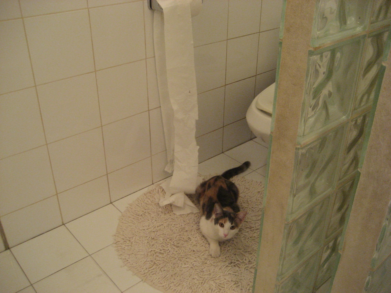 冠军拼图，巴斯托尼在焦点之夜的无声伟力