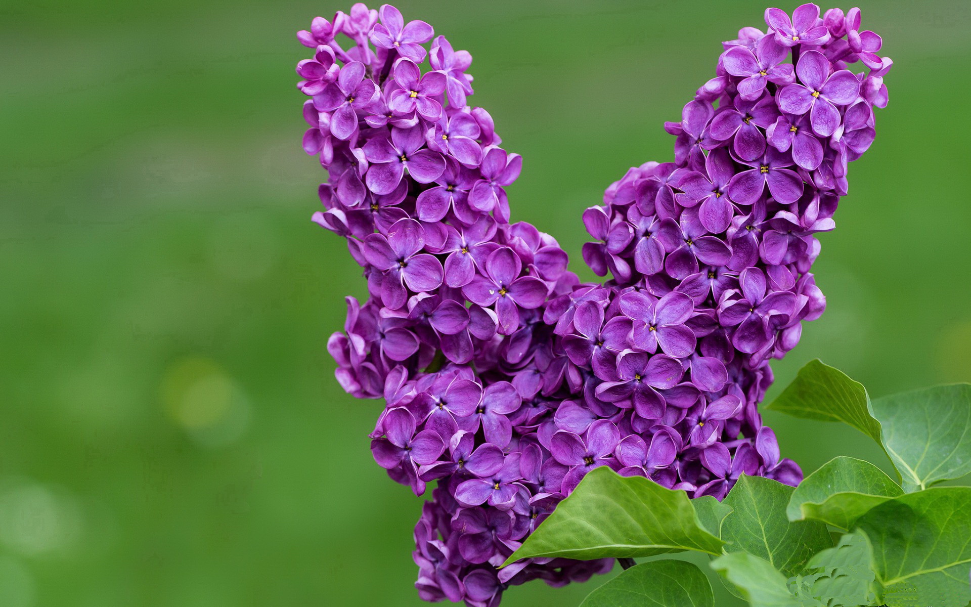 奢侈品队不敌瑞典机械，罗德里关键回合的残酷裁决
