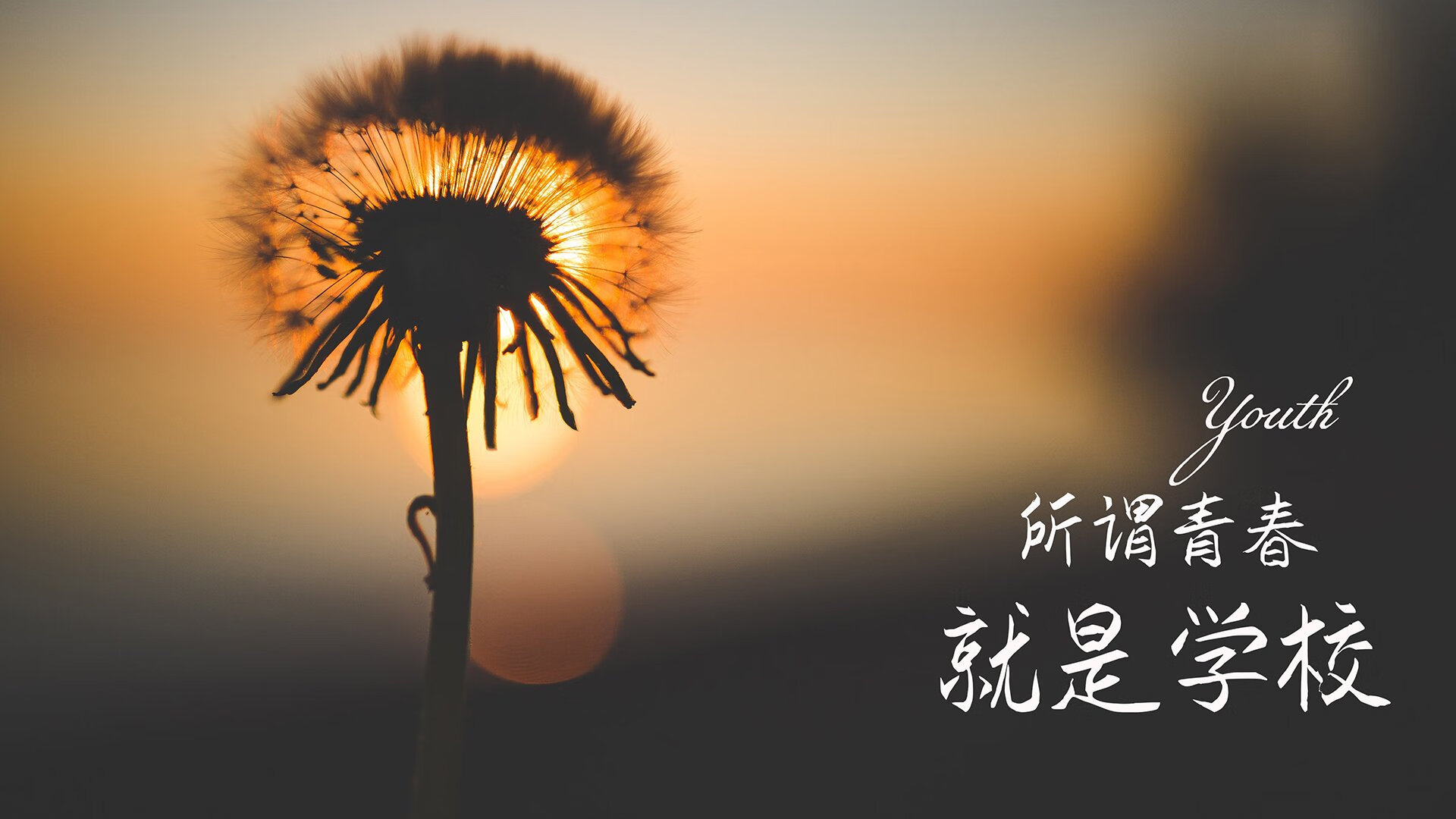 恒河燃起北非之火,归化奇才齐耶赫如何用一脚天外飞仙,炸裂2026世界杯A组冷门之夜