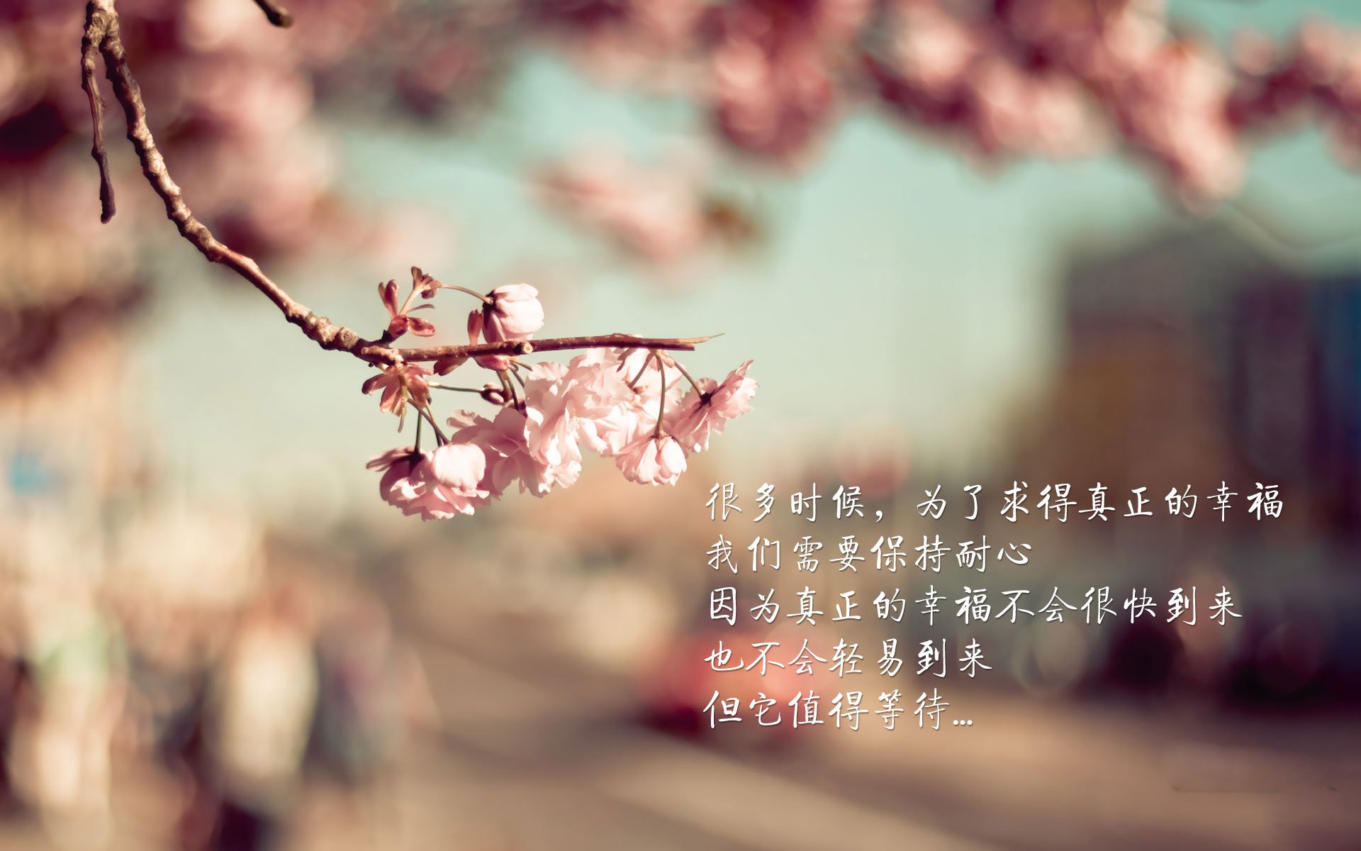 铁血与灵光的唯一碰撞,2026世界杯D组,智利风暴碾压泰国,托纳利的死角理论闪耀全场
