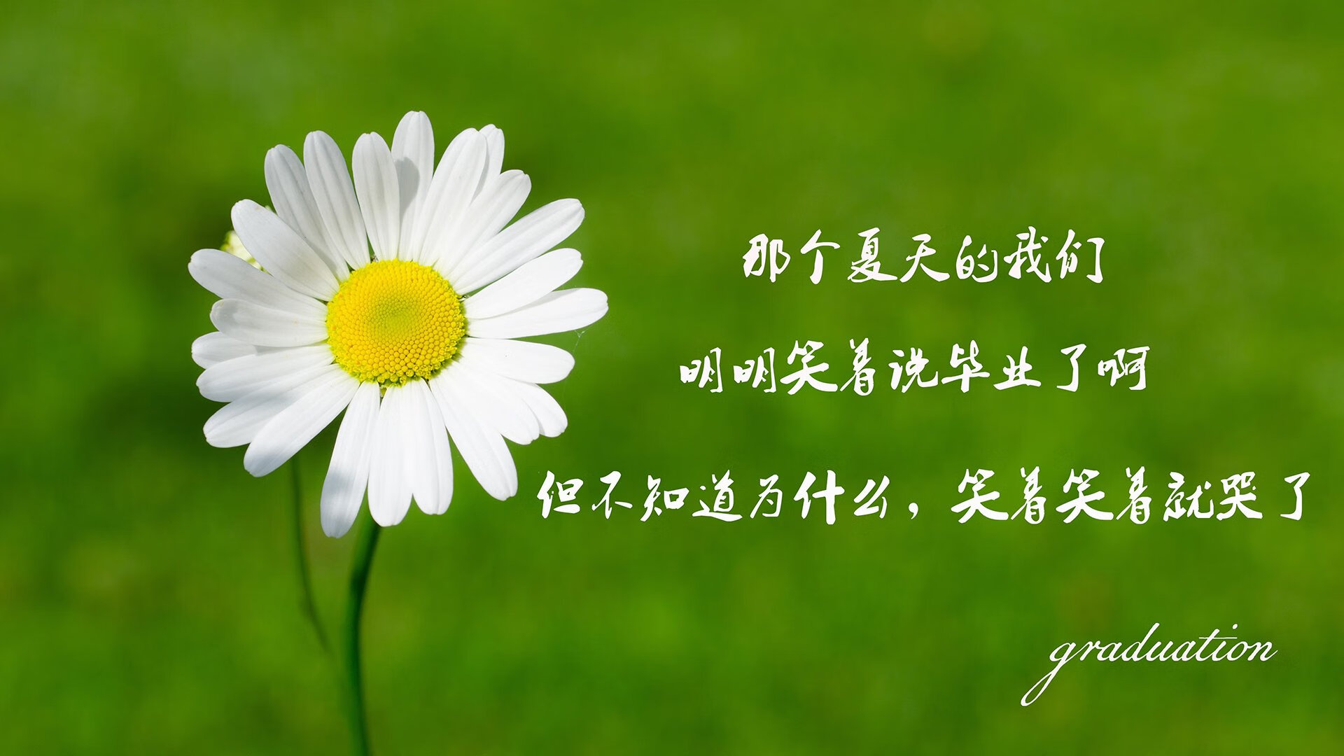 三笘薰的最后一舞,2026世界杯H组唯一压哨绝杀,比利时2-1意大利